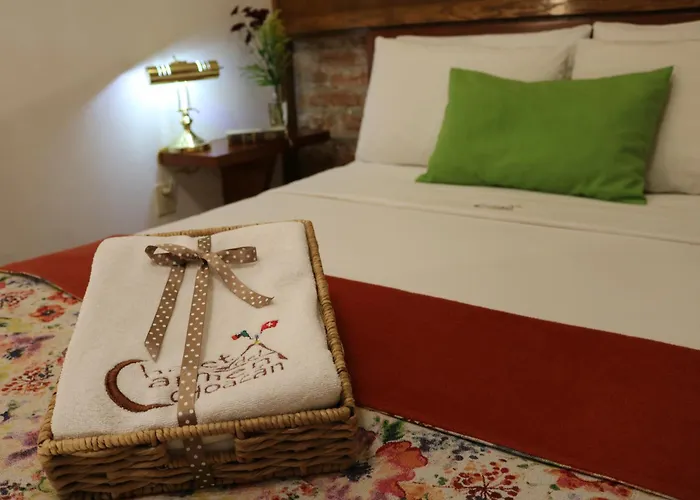 Chalet del Carmen, Coyoacán