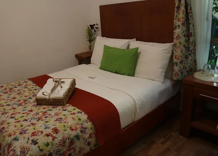Chalet del Carmen, Coyoacán
